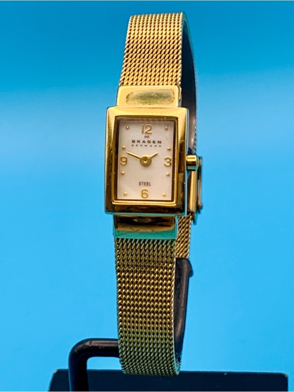 SKAGEN Denmark Women’s Ultra Slim Quartz Wristwatch All St Steel Works New Batt